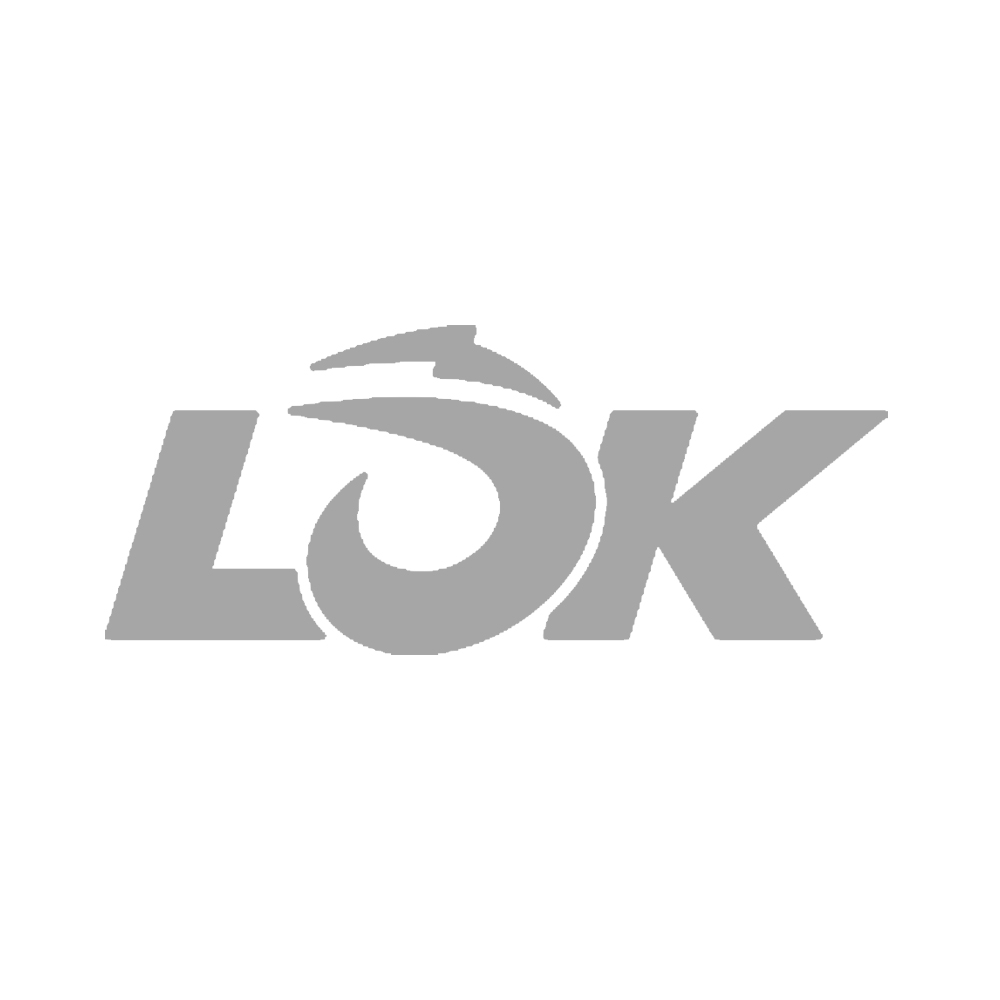Lok